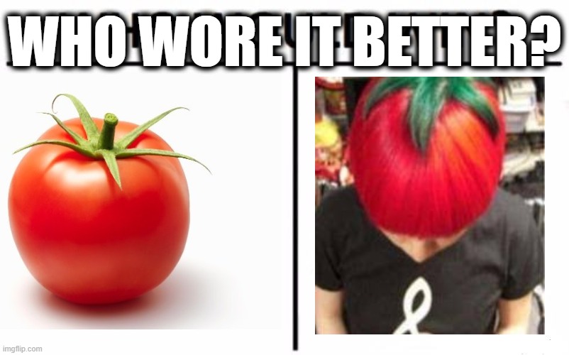 WHO WORE IT BETTER? | image tagged in who would win,memes | made w/ Imgflip meme maker