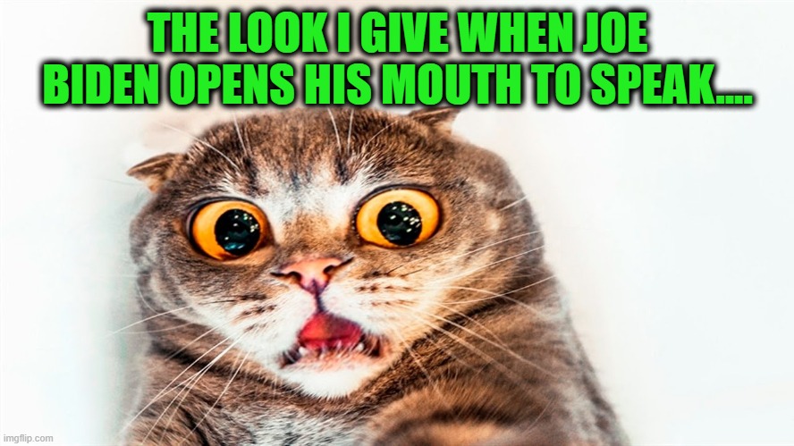 What he will say next? | THE LOOK I GIVE WHEN JOE BIDEN OPENS HIS MOUTH TO SPEAK.... | image tagged in politics,joe biden,politics lol,political meme,donald trump approves,dementia | made w/ Imgflip meme maker