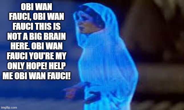 Dr Fauci Deepstate liar who has given many advices which he later has contradicted.So when fools say how wonderful he is I puke. | OBI WAN FAUCI, OBI WAN FAUCI THIS IS NOT A BIG BRAIN HERE. OBI WAN FAUCI YOU'RE MY ONLY HOPE! HELP ME OBI WAN FAUCI! | image tagged in princess leia only hope,dr fauci deepstate shill,dr fauci loves hillary | made w/ Imgflip meme maker