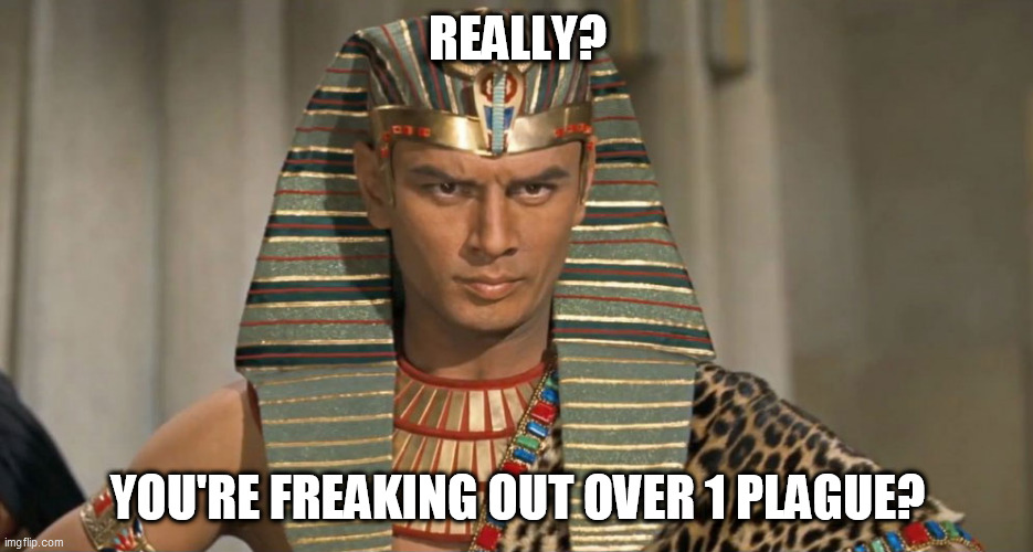 pharoah | REALLY? YOU'RE FREAKING OUT OVER 1 PLAGUE? | image tagged in pharoah | made w/ Imgflip meme maker