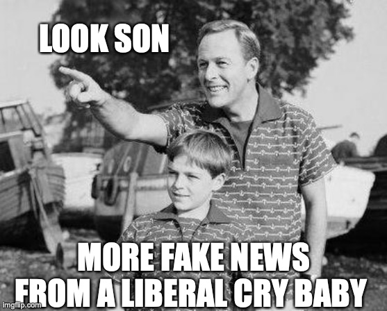 Look Son | LOOK SON; MORE FAKE NEWS FROM A LIBERAL CRY BABY | image tagged in memes,look son | made w/ Imgflip meme maker