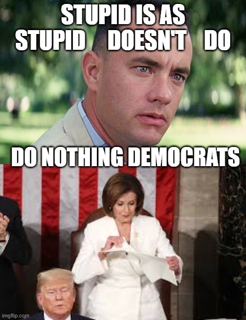 Do nothing Democrats | STUPID IS AS STUPID     DOESN'T    DO; DO NOTHING DEMOCRATS | image tagged in memes,and just like that,democrats,pelosi,losers,power | made w/ Imgflip meme maker