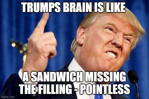 Donald Trump | TRUMPS BRAIN IS LIKE; A SANDWICH MISSING THE FILLING - POINTLESS | image tagged in donald trump | made w/ Imgflip meme maker