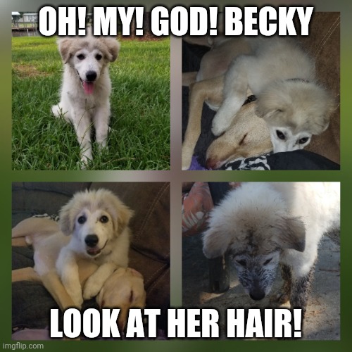 OH! MY! GOD! BECKY; LOOK AT HER HAIR! | made w/ Imgflip meme maker