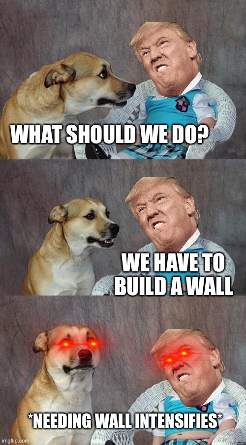 Dad Joke Dog | WHAT SHOULD WE DO? WE HAVE TO BUILD A WALL; *NEEDING WALL INTENSIFIES* | image tagged in memes,dad joke dog | made w/ Imgflip meme maker