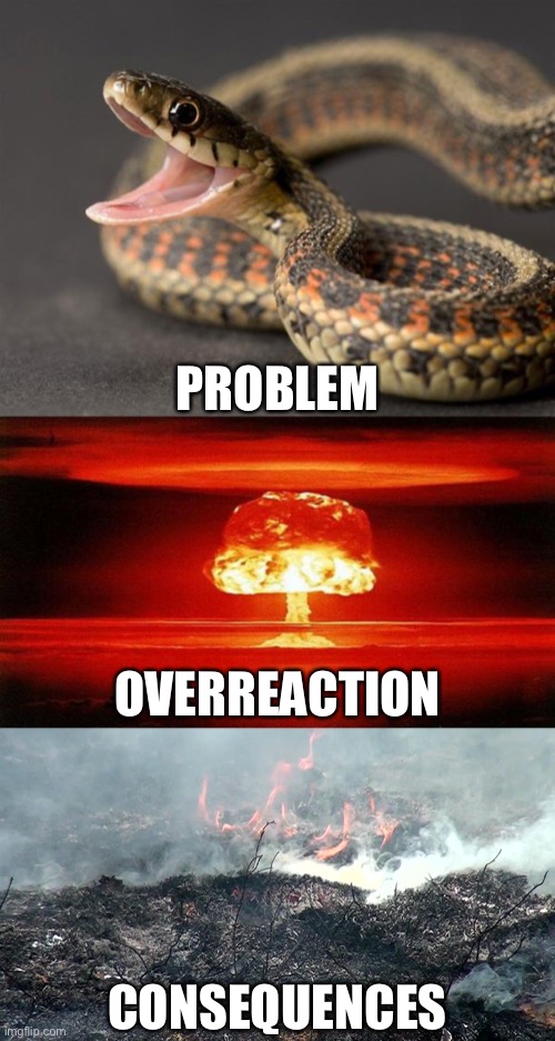 Lockdown were overreacting, they failed.  #ReopenAmerica | PROBLEM; OVERREACTION; CONSEQUENCES | image tagged in atomic bomb,snake,scorched earth,reopenamerica,lockdown | made w/ Imgflip meme maker