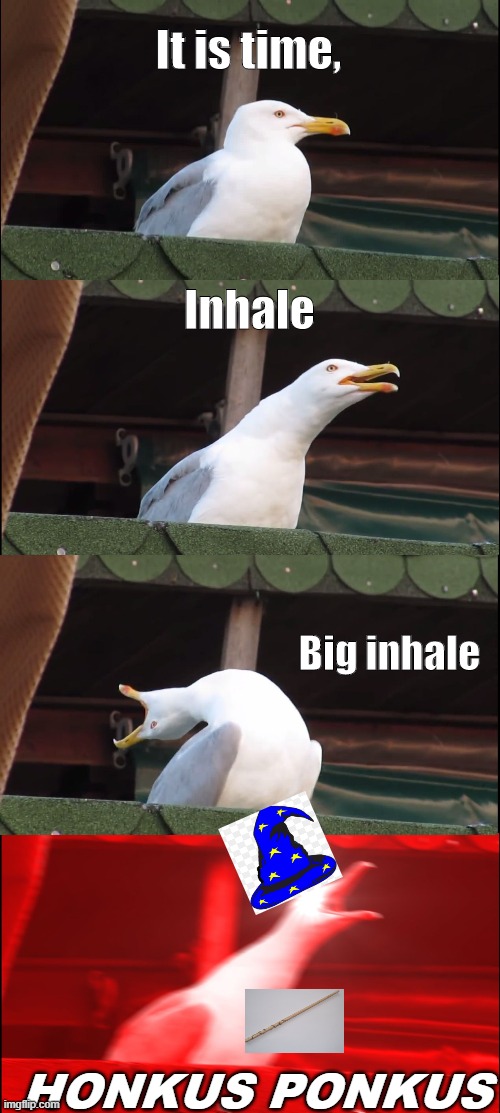 Inhaling Seagull | It is time, Inhale; Big inhale; HONKUS PONKUS | image tagged in memes,inhaling seagull | made w/ Imgflip meme maker