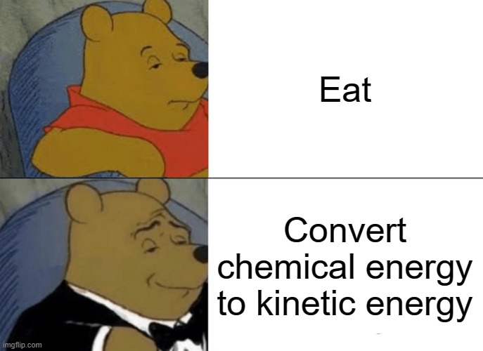 Tuxedo Winnie The Pooh | Eat; Convert chemical energy to kinetic energy | image tagged in memes,tuxedo winnie the pooh | made w/ Imgflip meme maker