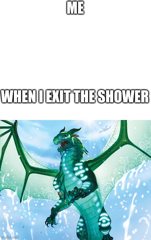 Dragon from Wings of Fire | ME; WHEN I EXIT THE SHOWER | image tagged in dragon from wings of fire | made w/ Imgflip meme maker