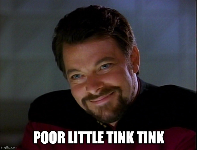 Riker Condescending | POOR LITTLE TINK TINK | image tagged in riker condescending | made w/ Imgflip meme maker