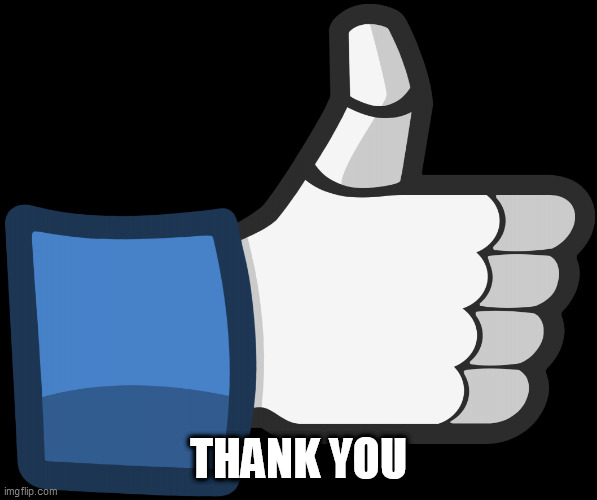 sans thumbs up | THANK YOU | image tagged in sans thumbs up | made w/ Imgflip meme maker