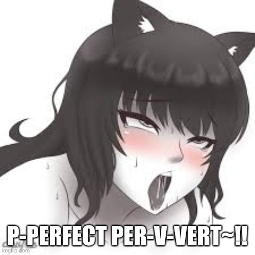 P-PERFECT PER-V-VERT~!! | made w/ Imgflip meme maker