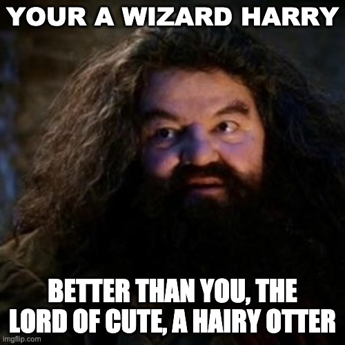You're a wizard harry | YOUR A WIZARD HARRY; BETTER THAN YOU, THE LORD OF CUTE, A HAIRY OTTER | image tagged in you're a wizard harry | made w/ Imgflip meme maker