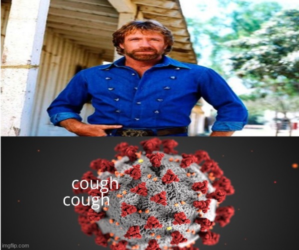 Chuck Norris back from the dead memes to help | image tagged in coronavirus,chuck norris | made w/ Imgflip meme maker