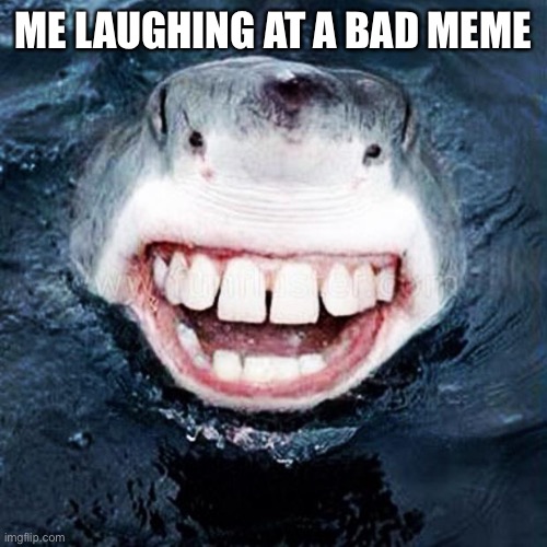 Sharky returns | ME LAUGHING AT A BAD MEME | image tagged in sharky returns | made w/ Imgflip meme maker