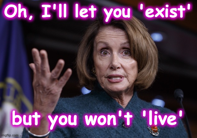 Good old Nancy Pelosi | Oh, I'll let you 'exist' but you won't 'live' | image tagged in good old nancy pelosi | made w/ Imgflip meme maker