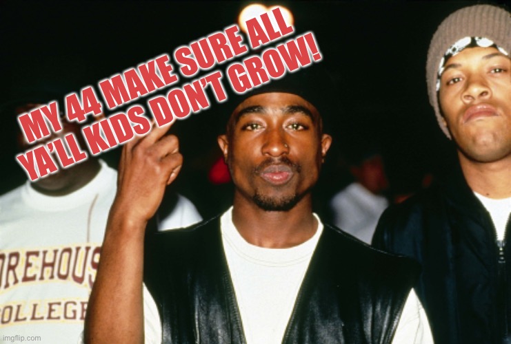 Hey Moni’ | MY 44 MAKE SURE ALL YA’LL KIDS DON’T GROW! | image tagged in get out the way yo,2pac,grab glocks,hit em up,mtr602,fence shalooey | made w/ Imgflip meme maker