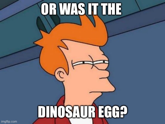 Futurama Fry Meme | OR WAS IT THE DINOSAUR EGG? | image tagged in memes,futurama fry | made w/ Imgflip meme maker