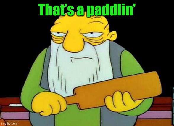 That's a paddlin' Meme | That’s a paddlin’ | image tagged in memes,that's a paddlin' | made w/ Imgflip meme maker