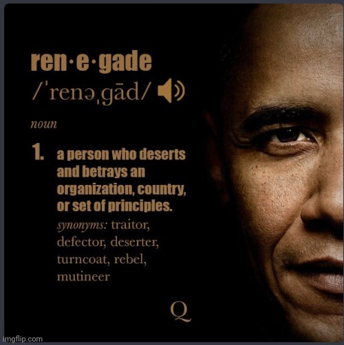 Barack Obama's Secret Service Code Name: #RENEGADE #Q3980 | image tagged in renegade,barack obama,traitor,treason,qanon,the great awakening | made w/ Imgflip meme maker