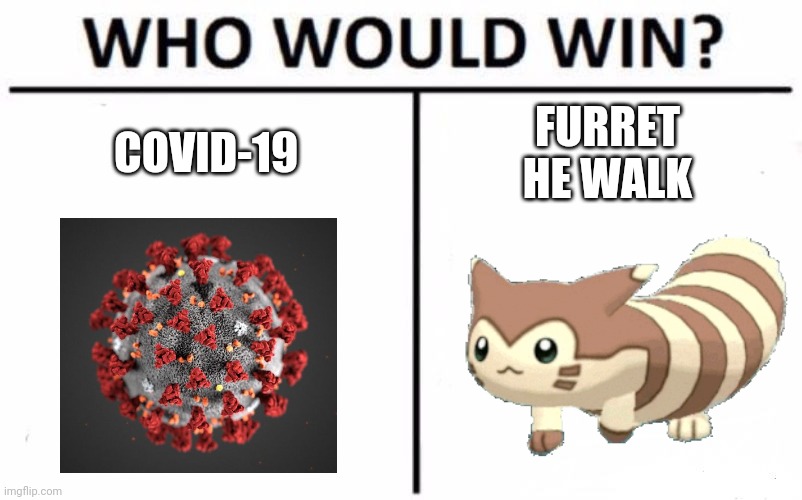 I think that's an easy answer | COVID-19; FURRET
HE WALK | image tagged in memes,who would win,covid-19,coronavirus,pokemon | made w/ Imgflip meme maker