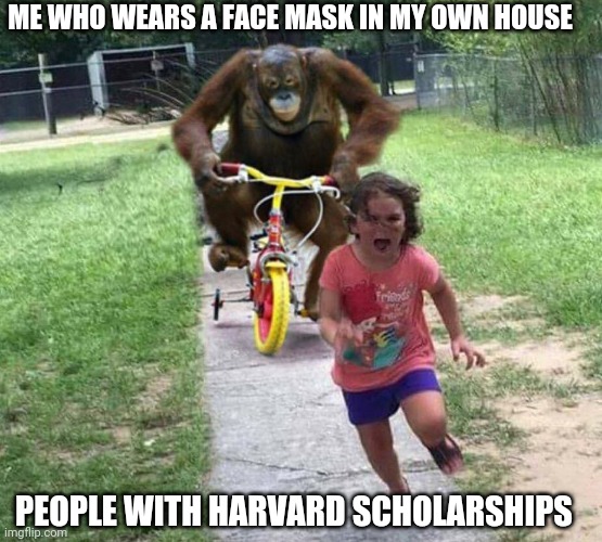 Orangutan Chasing Girl | ME WHO WEARS A FACE MASK IN MY OWN HOUSE; PEOPLE WITH HARVARD SCHOLARSHIPS | image tagged in orangutan chasing girl | made w/ Imgflip meme maker
