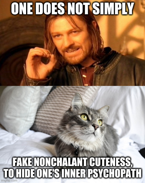 One Does Not Simply - Fake It Out | ONE DOES NOT SIMPLY; FAKE NONCHALANT CUTENESS, TO HIDE ONE'S INNER PSYCHOPATH | image tagged in memes,one does not simply,hungry after all | made w/ Imgflip meme maker