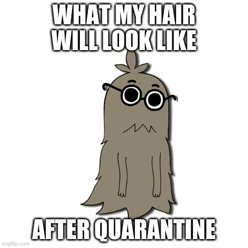 Almost everyone | WHAT MY HAIR WILL LOOK LIKE; AFTER QUARANTINE | image tagged in coronavirus | made w/ Imgflip meme maker