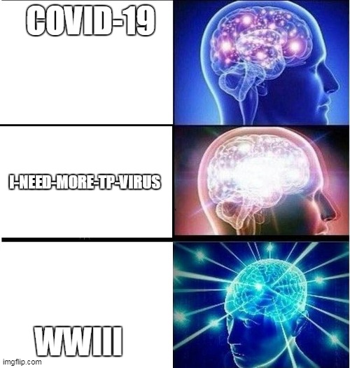 Expanding brain 3 panels | COVID-19; I-NEED-MORE-TP-VIRUS; WWIII | image tagged in expanding brain 3 panels | made w/ Imgflip meme maker