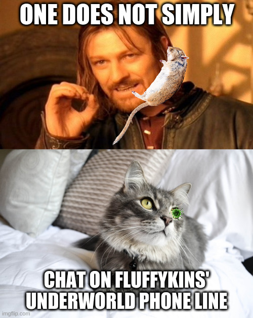 Ring, Ring, Ring | ONE DOES NOT SIMPLY; CHAT ON FLUFFYKINS' UNDERWORLD PHONE LINE | image tagged in memes,one does not simply,phone,plague,group chats,cats | made w/ Imgflip meme maker