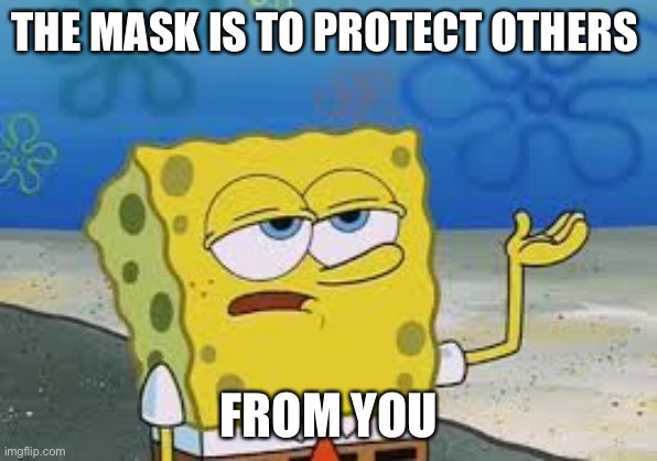 I’ll have you know spongebob | THE MASK IS TO PROTECT OTHERS FROM YOU | image tagged in ill have you know spongebob | made w/ Imgflip meme maker