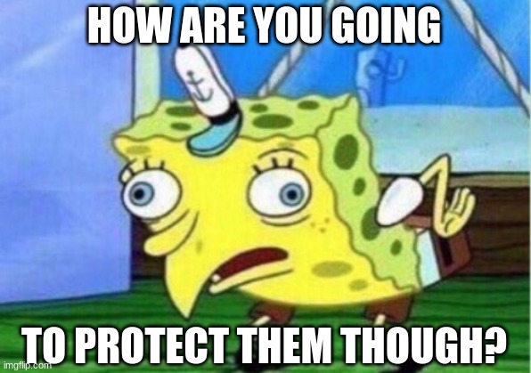 Mocking Spongebob Meme | HOW ARE YOU GOING TO PROTECT THEM THOUGH? | image tagged in memes,mocking spongebob | made w/ Imgflip meme maker
