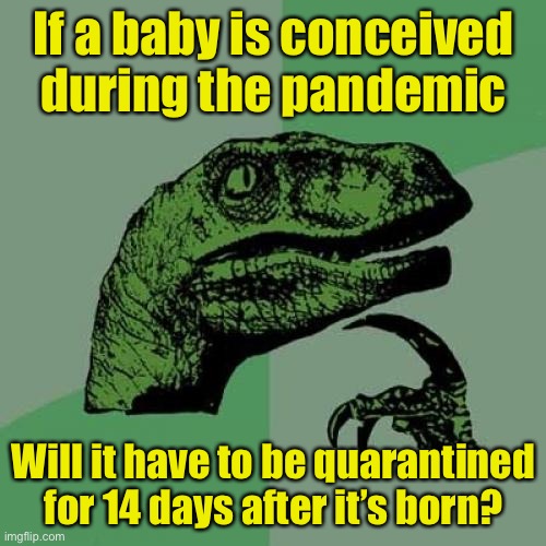 Philosoraptor | If a baby is conceived during the pandemic; Will it have to be quarantined for 14 days after it’s born? | image tagged in memes,philosoraptor | made w/ Imgflip meme maker
