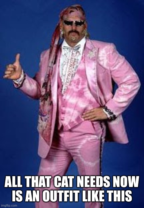 Jesse Ventura WWF | ALL THAT CAT NEEDS NOW
IS AN OUTFIT LIKE THIS | image tagged in jesse ventura wwf | made w/ Imgflip meme maker