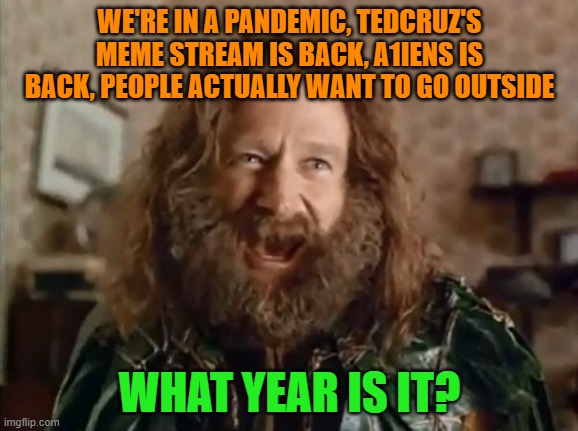 What Year Is It |  WE'RE IN A PANDEMIC, TEDCRUZ'S MEME STREAM IS BACK, A1IENS IS BACK, PEOPLE ACTUALLY WANT TO GO OUTSIDE; WHAT YEAR IS IT? | image tagged in memes,what year is it | made w/ Imgflip meme maker