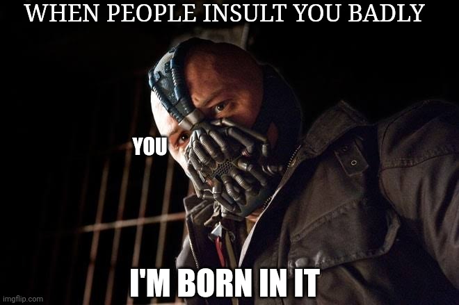 Insult | WHEN PEOPLE INSULT YOU BADLY; YOU; I'M BORN IN IT | image tagged in we don't care | made w/ Imgflip meme maker