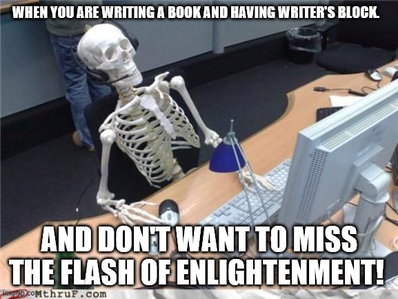 Skeleton Computer |  WHEN YOU ARE WRITING A BOOK AND HAVING WRITER'S BLOCK. AND DON'T WANT TO MISS THE FLASH OF ENLIGHTENMENT! | image tagged in skeleton computer | made w/ Imgflip meme maker