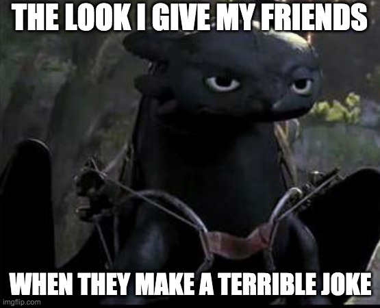 Bored Dragon | THE LOOK I GIVE MY FRIENDS; WHEN THEY MAKE A TERRIBLE JOKE | image tagged in bored dragon | made w/ Imgflip meme maker