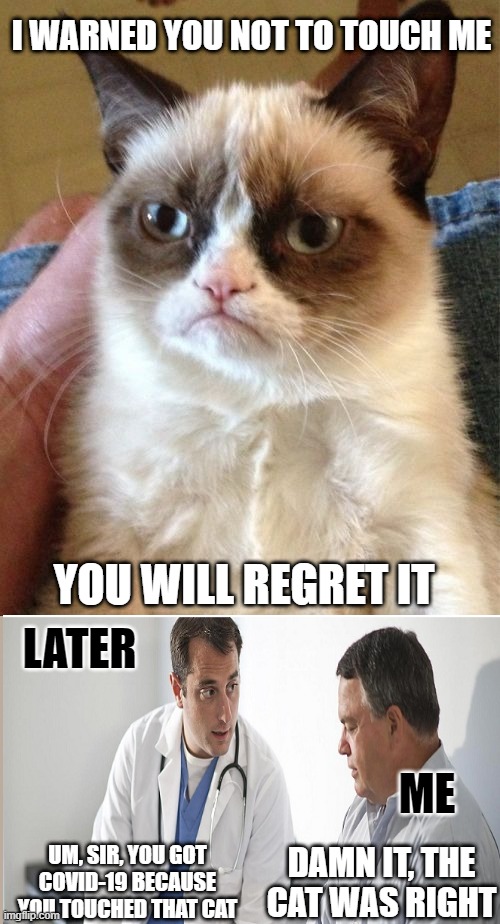 Grumpy Cat Meme | I WARNED YOU NOT TO TOUCH ME; YOU WILL REGRET IT; LATER; ME; UM, SIR, YOU GOT COVID-19 BECAUSE YOU TOUCHED THAT CAT; DAMN IT, THE CAT WAS RIGHT | image tagged in memes,grumpy cat | made w/ Imgflip meme maker