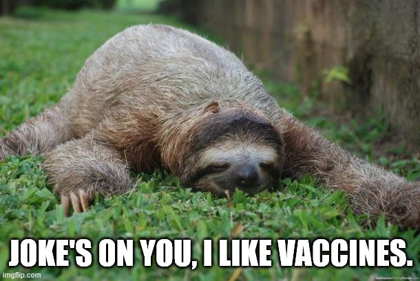 Sleeping sloth | JOKE'S ON YOU, I LIKE VACCINES. | image tagged in sleeping sloth | made w/ Imgflip meme maker