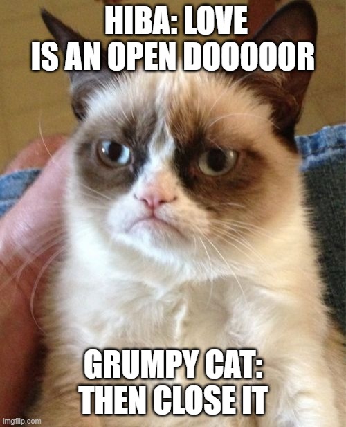 Grumpy Cat Meme | HIBA: LOVE IS AN OPEN DOOOOOR; GRUMPY CAT: THEN CLOSE IT | image tagged in memes,grumpy cat | made w/ Imgflip meme maker