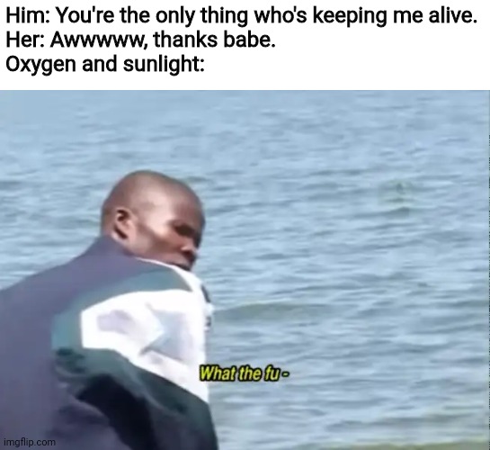 What the fu- |  Him: You're the only thing who's keeping me alive.

Her: Awwwww, thanks babe.

Oxygen and sunlight: | image tagged in what the fu-,oxygen,sunlight,memes,girlfriend,boyfriend | made w/ Imgflip meme maker