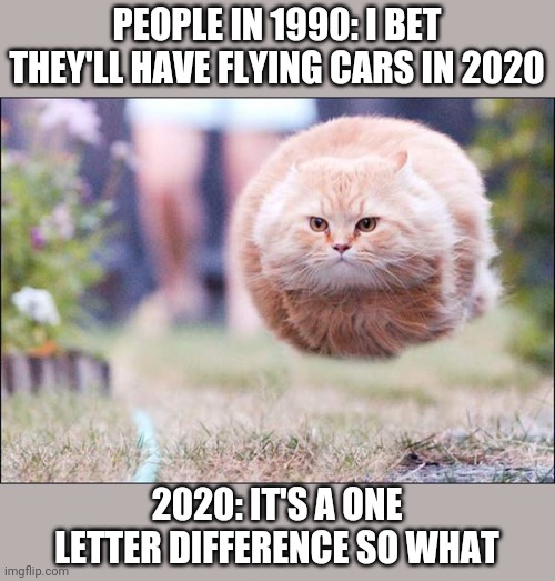 PEOPLE IN 1990: I BET THEY'LL HAVE FLYING CARS IN 2020; 2020: IT'S A ONE LETTER DIFFERENCE SO WHAT | image tagged in kitty | made w/ Imgflip meme maker