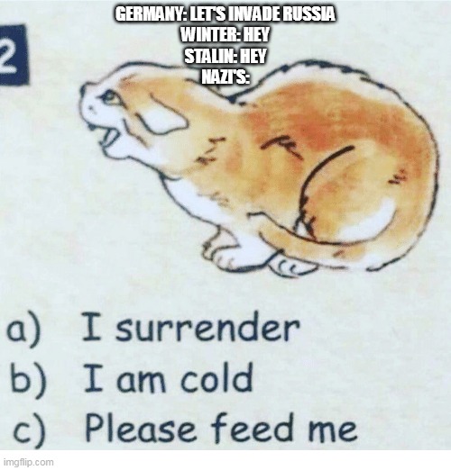 GERMANY: LET'S INVADE RUSSIA
WINTER: HEY
STALIN: HEY
NAZI'S: | made w/ Imgflip meme maker