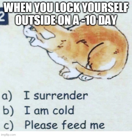 WHEN YOU LOCK YOURSELF OUTSIDE ON A -10 DAY | made w/ Imgflip meme maker