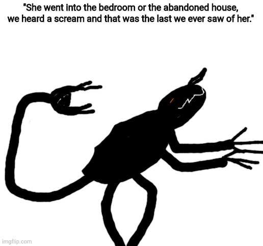 Killerinthebedroom, did you do this? | "She went into the bedroom or the abandoned house, we heard a scream and that was the last we ever saw of her." | image tagged in blank white template,thetitleisajoke | made w/ Imgflip meme maker