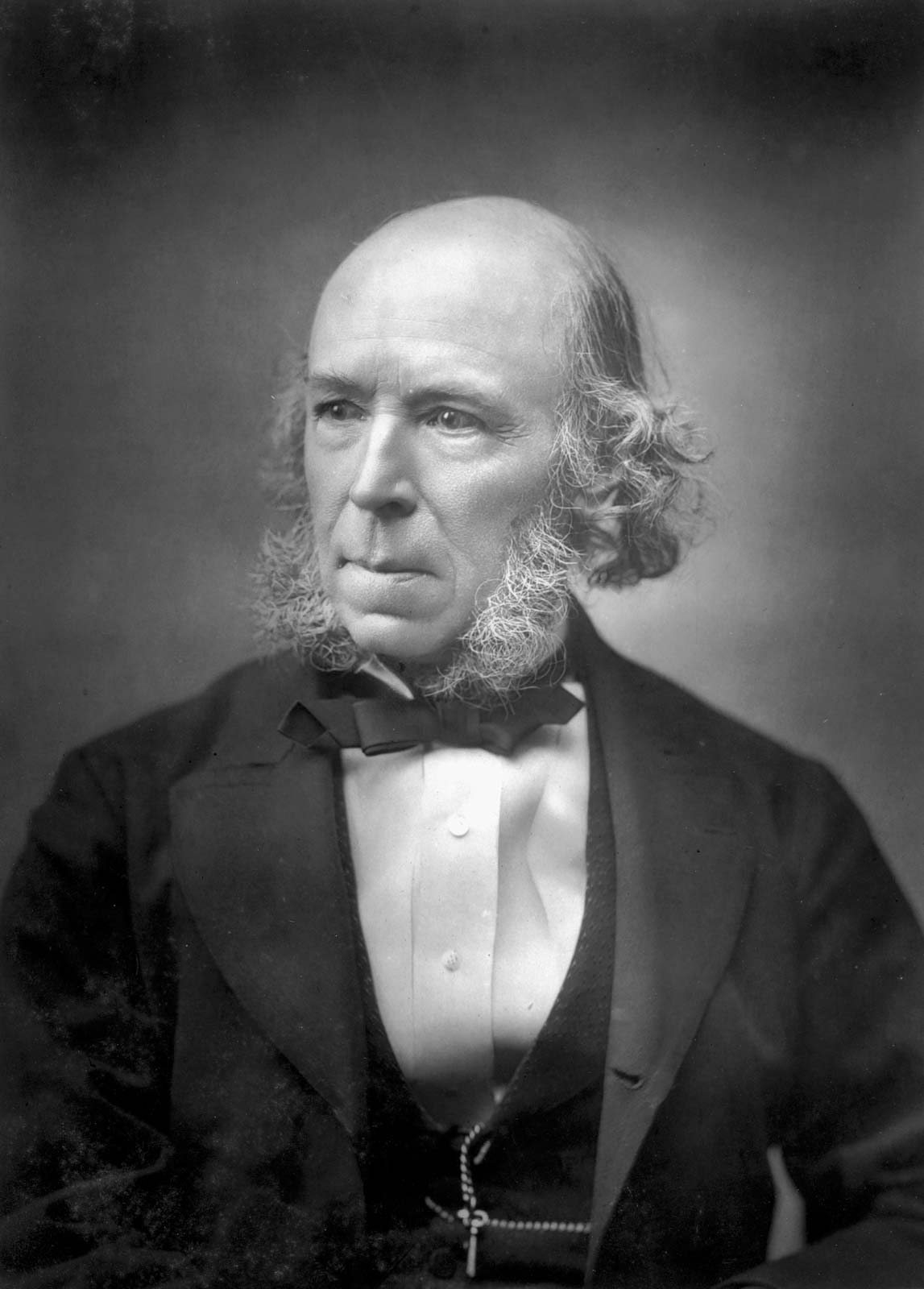 High Quality Herbert Spencer Blank Meme Template