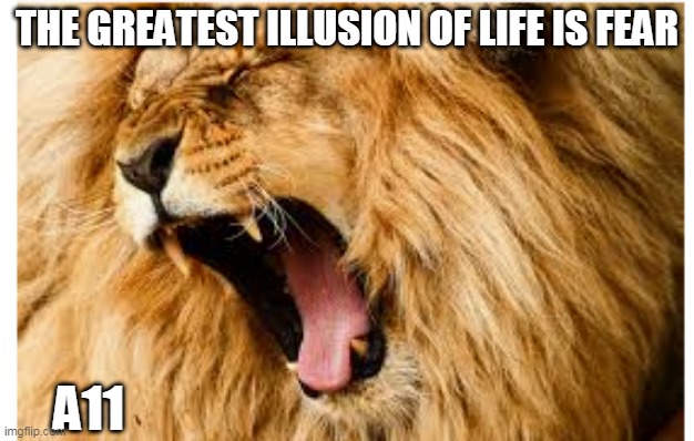 qoutes | THE GREATEST ILLUSION OF LIFE IS FEAR; A11 | image tagged in quotes | made w/ Imgflip meme maker