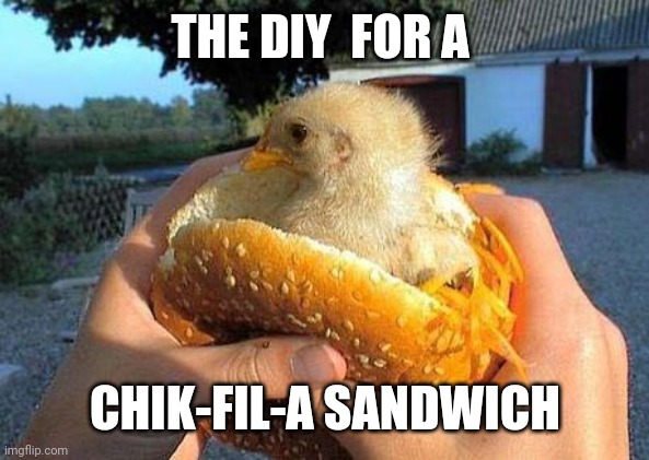 Chicken Sandwich | THE DIY  FOR A; CHIK-FIL-A SANDWICH | image tagged in chicken sandwich | made w/ Imgflip meme maker