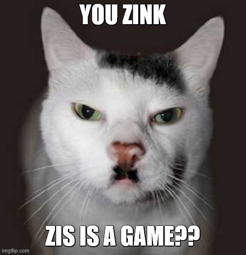 Nazi Cat | YOU ZINK ZIS IS A GAME?? | image tagged in nazi cat | made w/ Imgflip meme maker